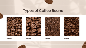 Cocoa beans trading