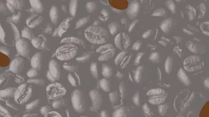Cocoa beans trading