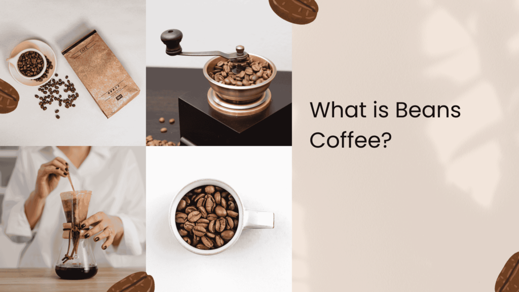 Cocoa